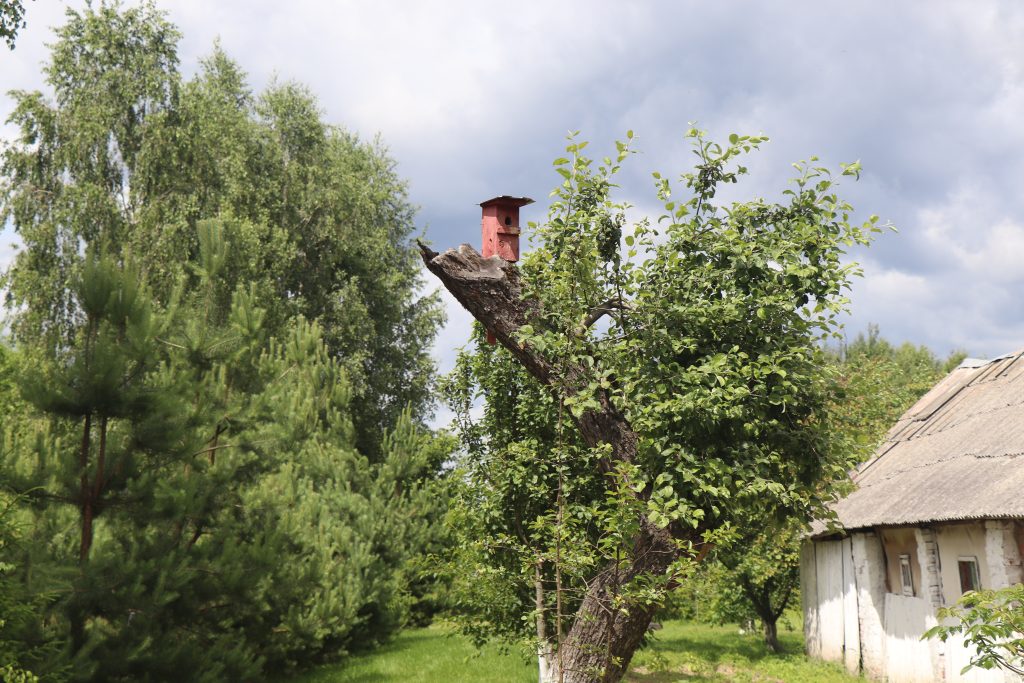 IMG_2413-1024x683 Хранитель поселка Лядо