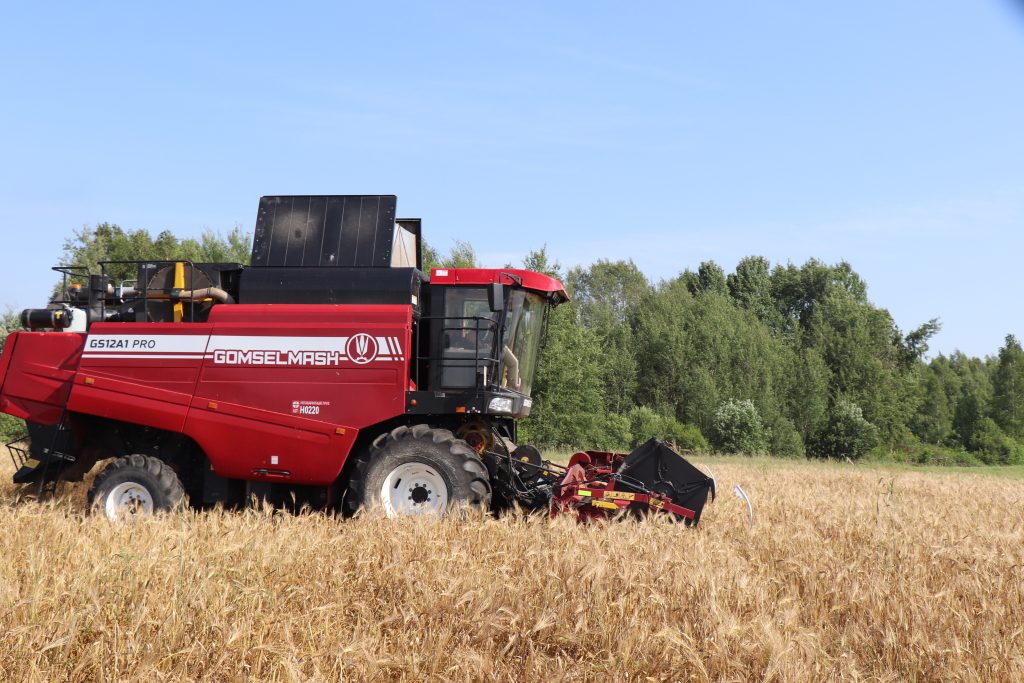 IMG_3484-1024x683  От первых колосьев: как в ОАО «Немки» вышли на жатву