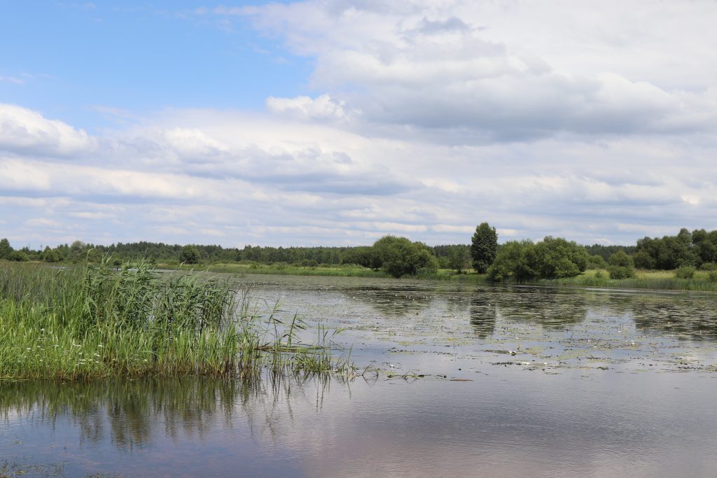 IMG_3569-1024x683  Новая усадьба «У реки»