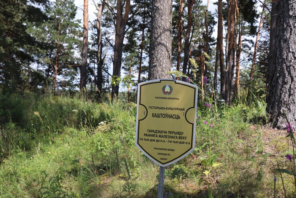 IMG_3595-1024x683 Чемерня у Каменной Горы