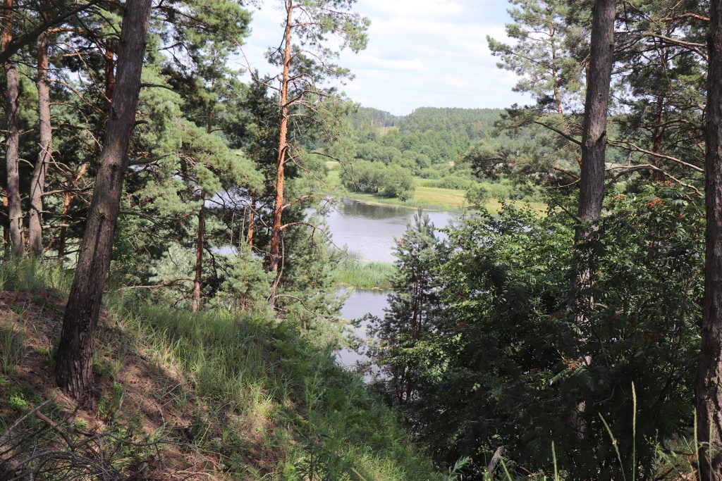 IMG_3602-1024x683 Чемерня у Каменной Горы