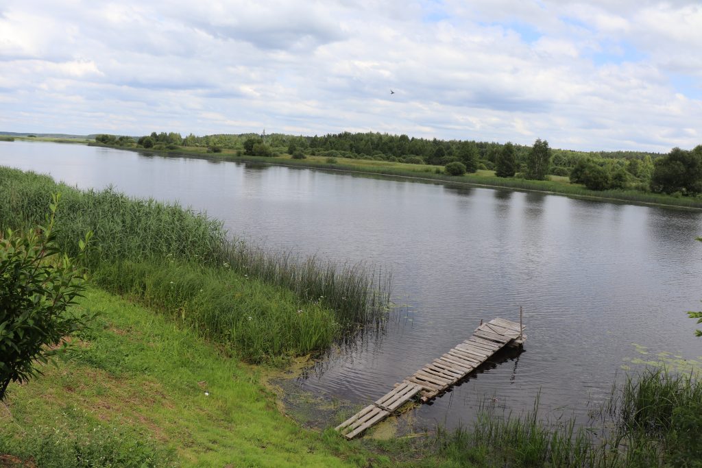 IMG_3615-1024x683 Чемерня у Каменной Горы