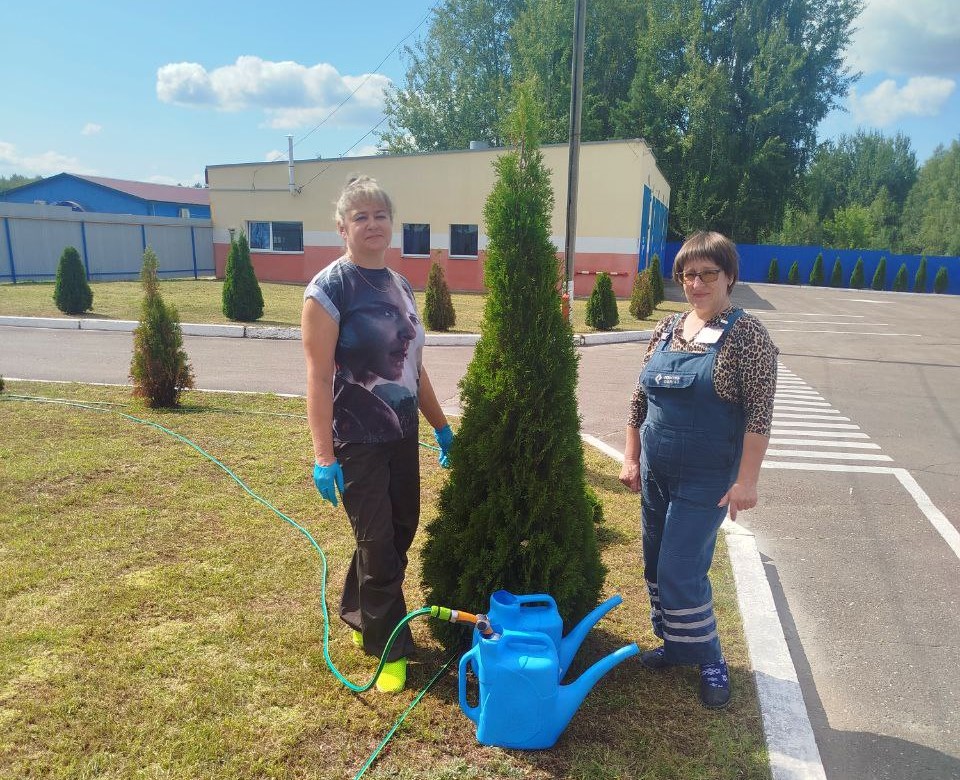 62b198ba-a157-4daa-b674-0d58a7510252 Областной субботник прошел на Ветковщине