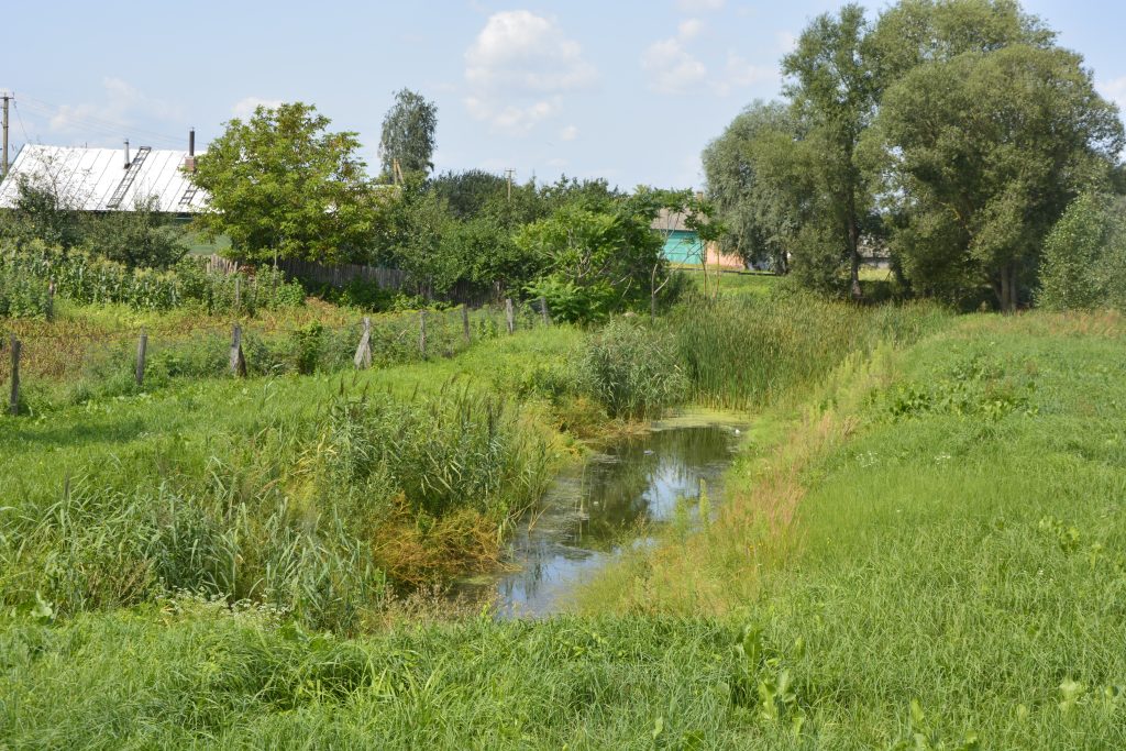 DSC9920-1-1024x683  Что такое Пыхань?