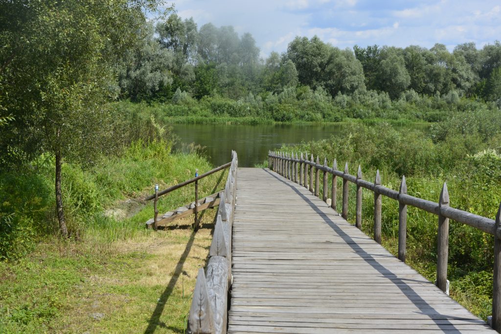 DSC9985-1024x683 Мосты к нашим криницам