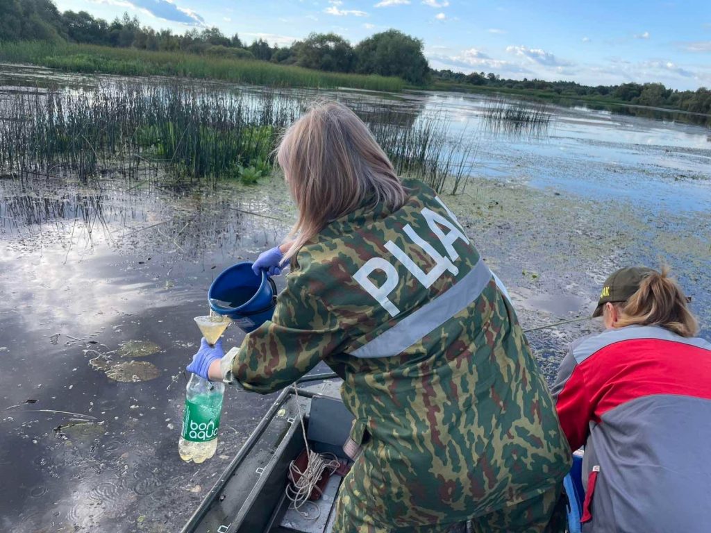 FXjln6qeOkPdU_oSevPAWn1UBW7Xk17AFl5qdkoJHmKoAHoqcSCNlz5qoGkOVOGwbOCH70hSFPULJbljbySJ8ZZZ-1024x768 Почему гибнет рыба в Беседи?