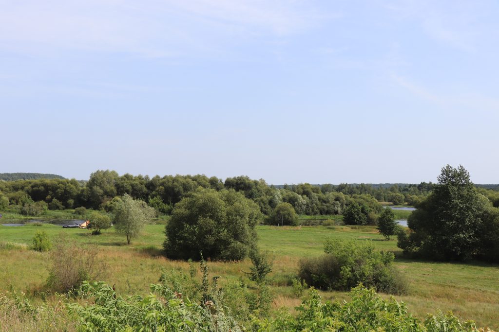 IMG_3962-1024x683 Казацкие Болсуны — неофициальная история