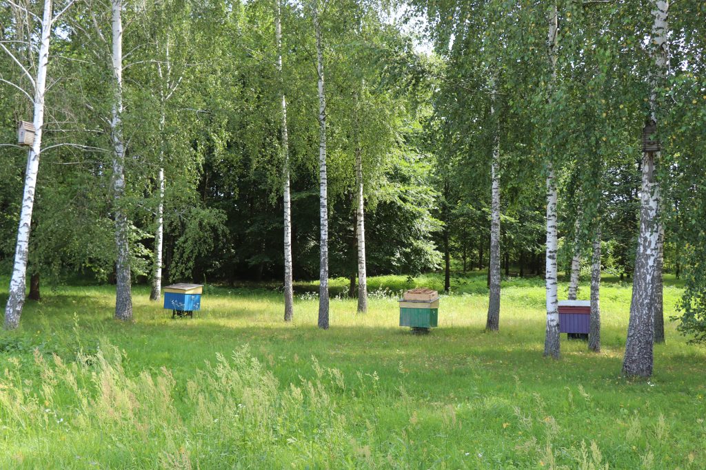 IMG_3973-1024x683 Казацкие Болсуны — неофициальная история