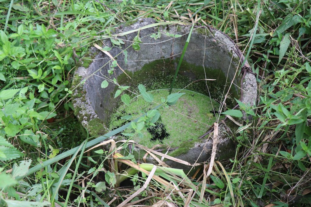 IMG_5174-1024x683 Столбунские легенды