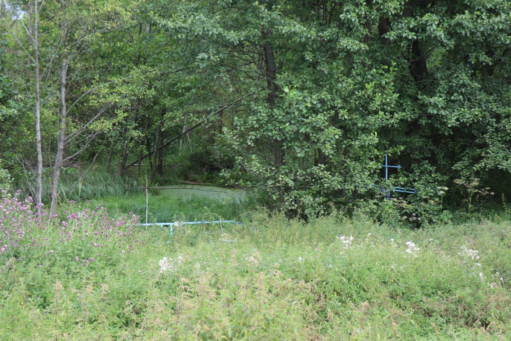 IMG_5196-2-1024x683 Столбунские легенды