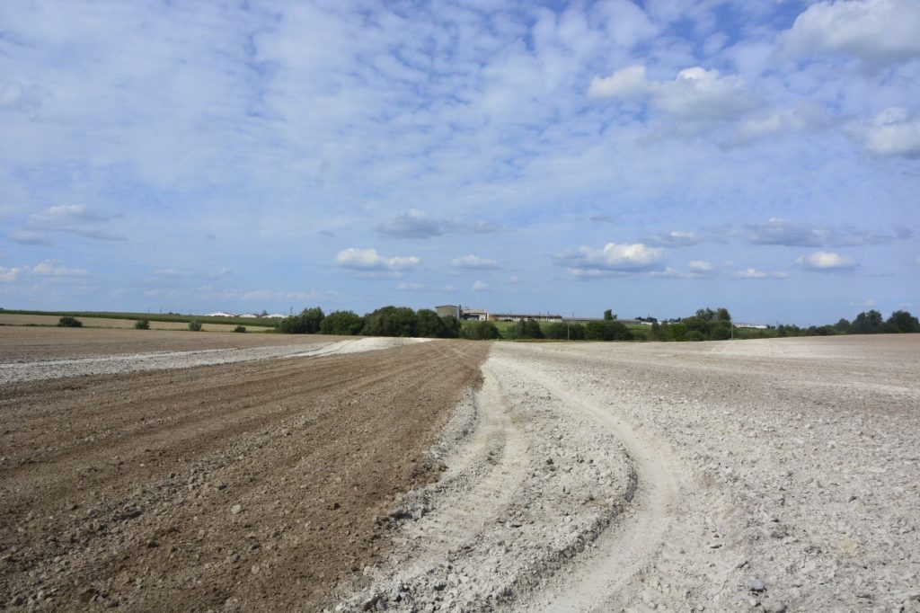 a4q4LRfXdKTmibSI7znRturnRU5O2UeoJJ2QdrERP0zXBu12b_DfpMkuWyHZZmGCMMcifKcXjj8tO4X84dUTjui5-1024x682 Технологию сева и возделывания ярового и озимого рапса обсудили на Ветковщине