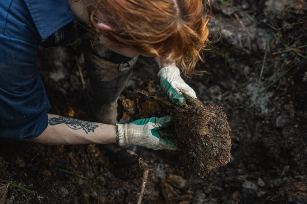 1ff1a314-7b28-478e-b5f6-a8a1bace5e58-1024x683 Полёт длиною в 80 лет