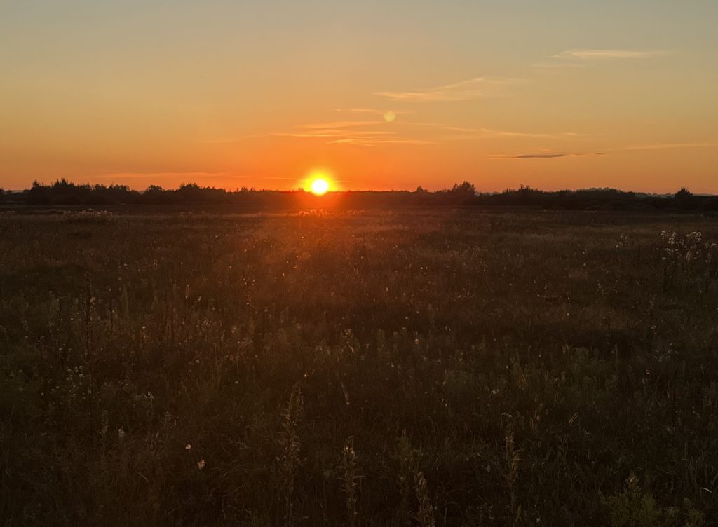 IMG_0429-1024x752 Утиная охота как она есть