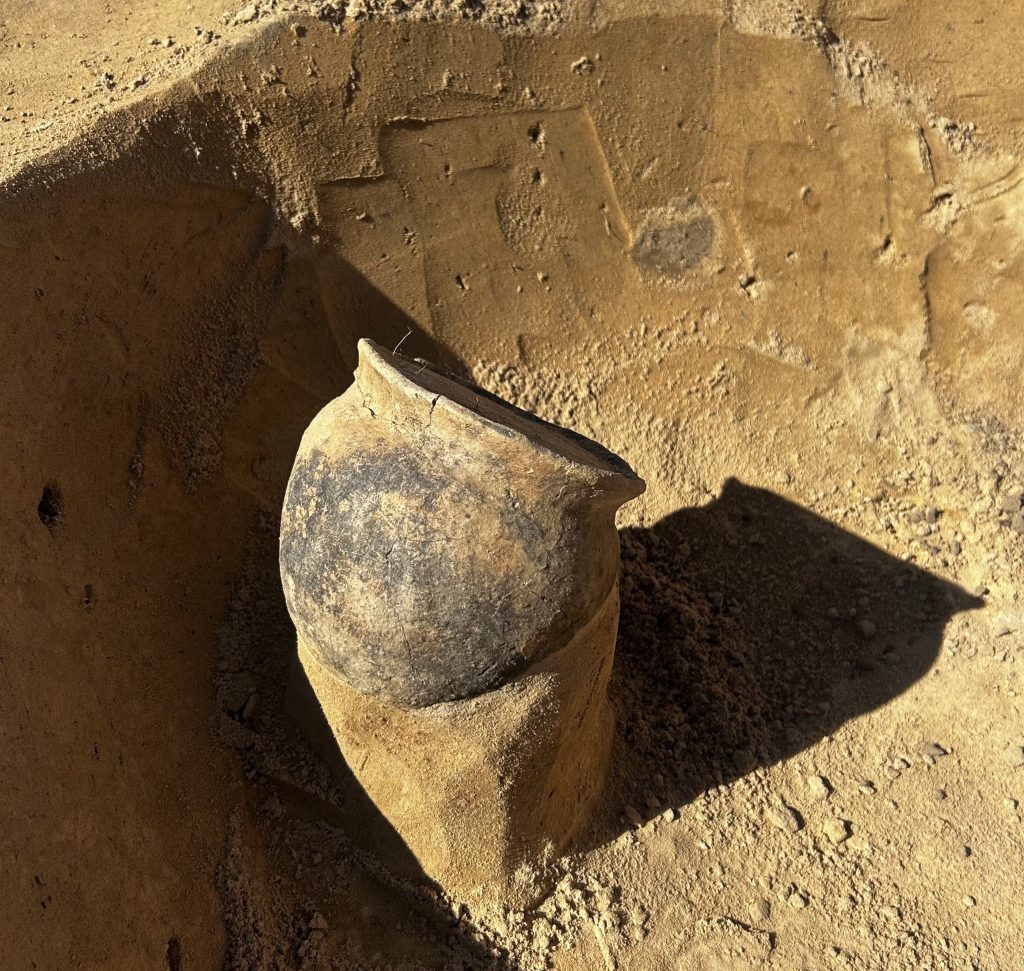 IMG_1148-1024x971 Находки Южно-белорусской экспедиции археологов