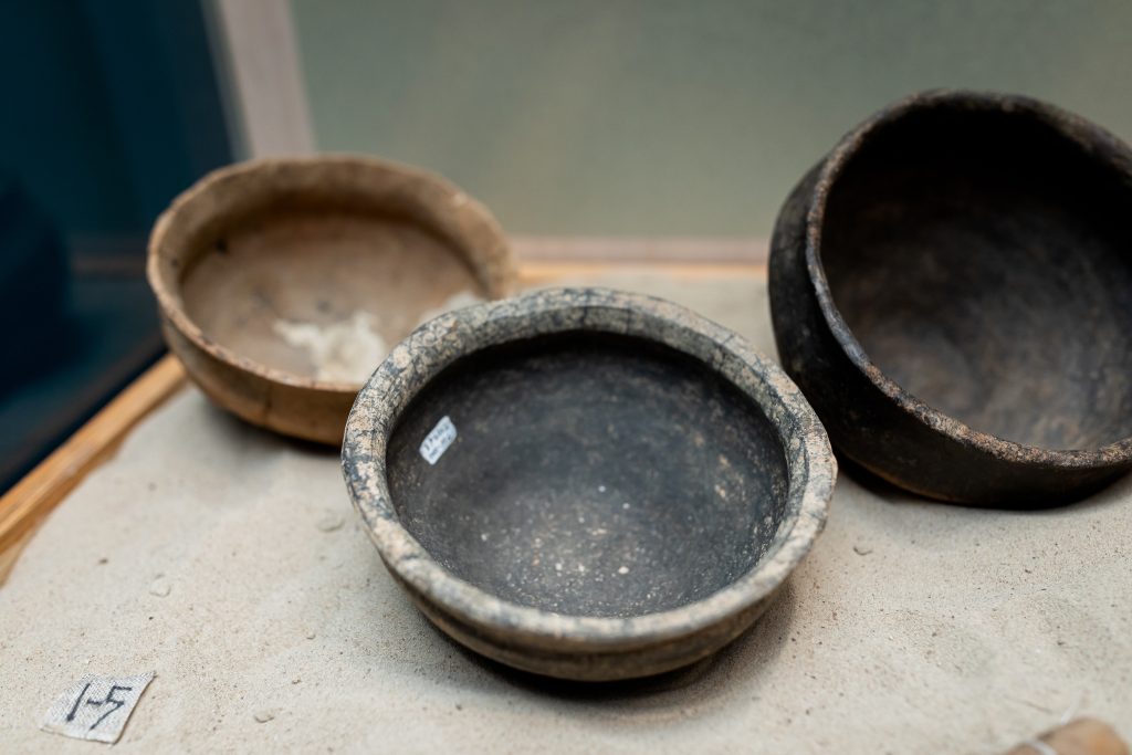 JAR_6793-1024x683 Находки Южно-белорусской экспедиции археологов