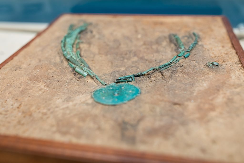 JAR_6803-1024x683 Находки Южно-белорусской экспедиции археологов