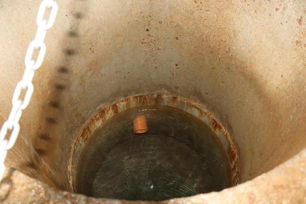 img_6013-1024x683 Чудеса и хранители шерстинского родника