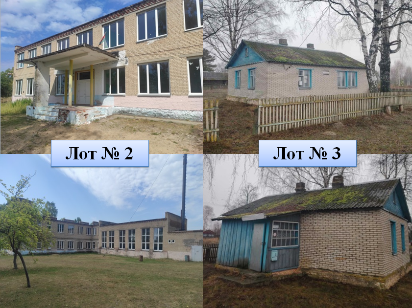 loty-2-i-3-30.09 ИНФОРМАЦИЯ о проведении электронных торгов по продаже государственного имущества