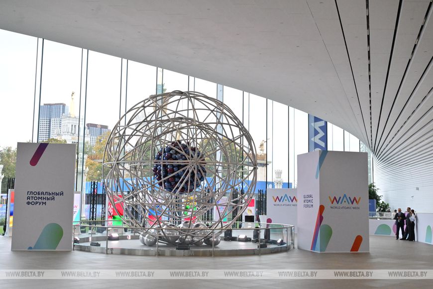 sta_9348_result Александр Лукашенко принимает участие в Глобальном атомном форуме