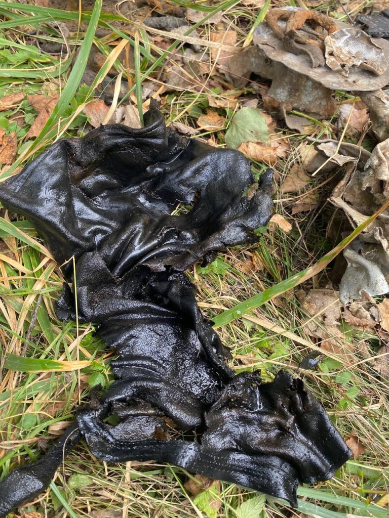 zdu4kprtpj2ilajkqyp3s1e5akp6azybavd8flubik_qqveacg6ncqy05epen7i0u0r8pqcjspppbfoearfjft0i-768x1024 Полёт длиною в 80 лет