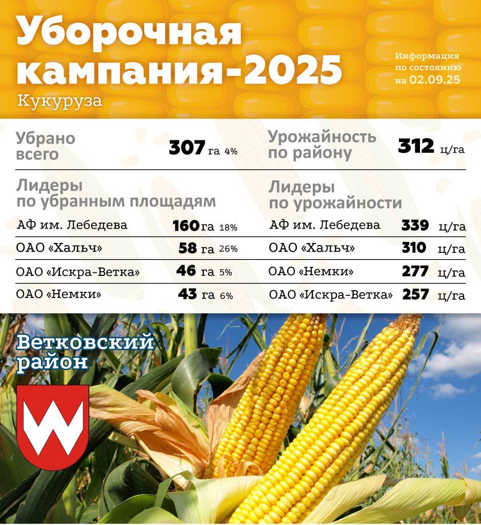 Кукуруза-2.09-938x1024 Уборочная кампания — последние новости