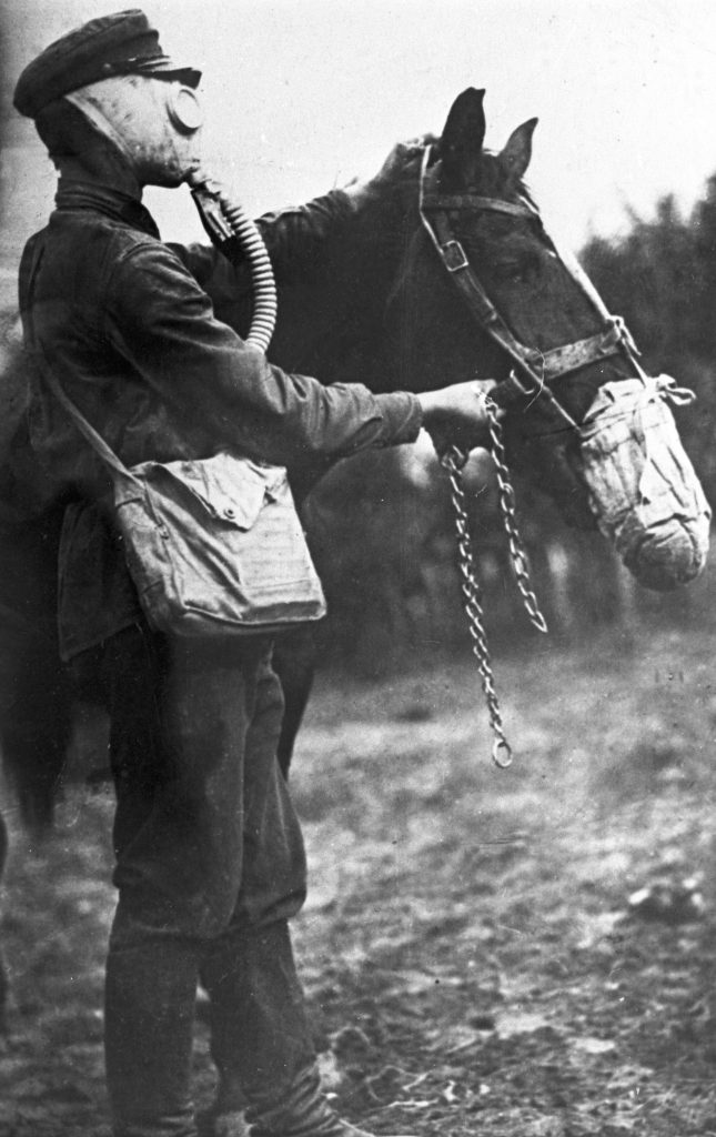 0-18444-645x1024 Чонгарская дивизия —звезда Гомельского гарнизона