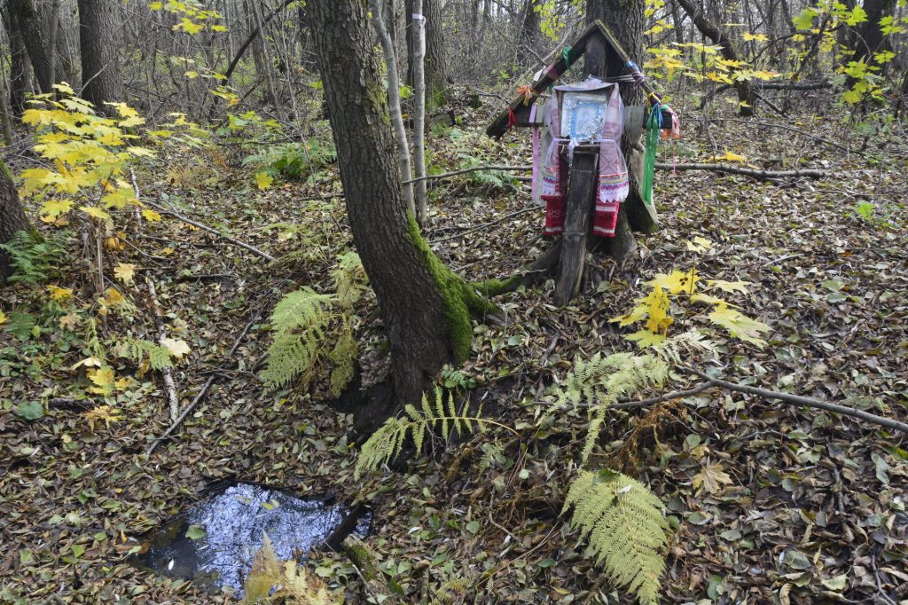 5-2-1024x682 Неглюбские источники