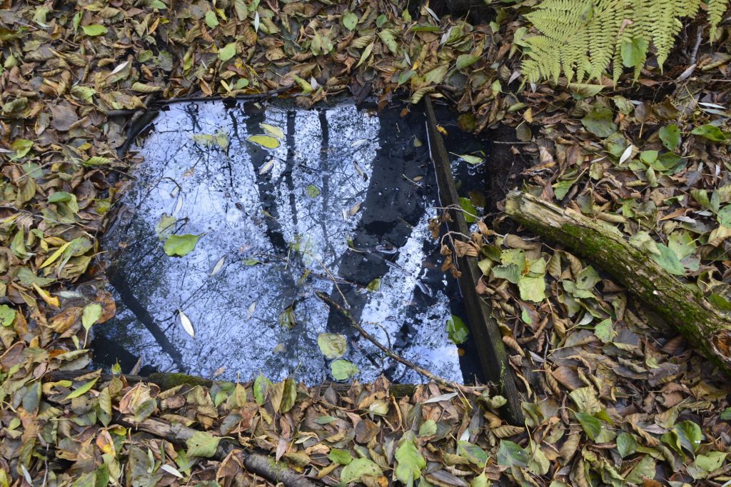 6-1024x682 Неглюбские источники