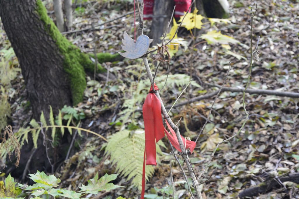 7-1024x682 Неглюбские источники