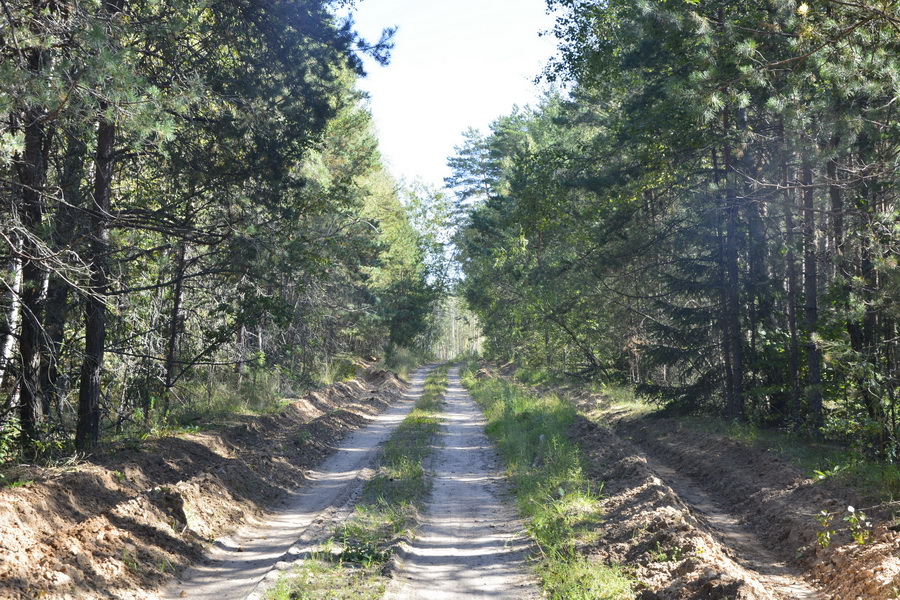 dsc3413 Самый необычный родник Ветковщины