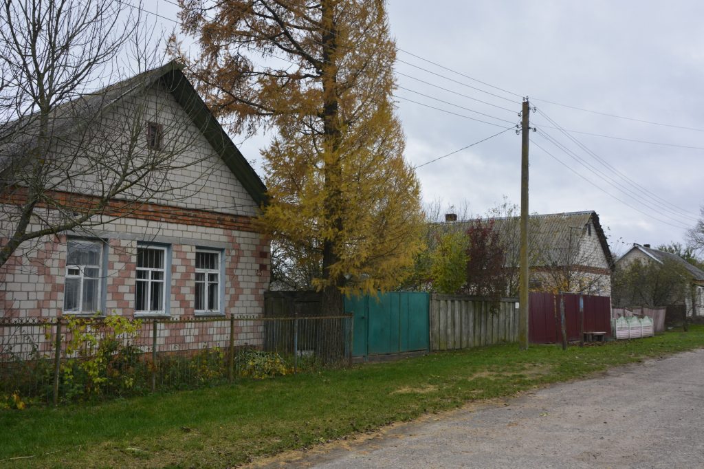 dsc3573-1024x682 Переселенцы Чистых Луж