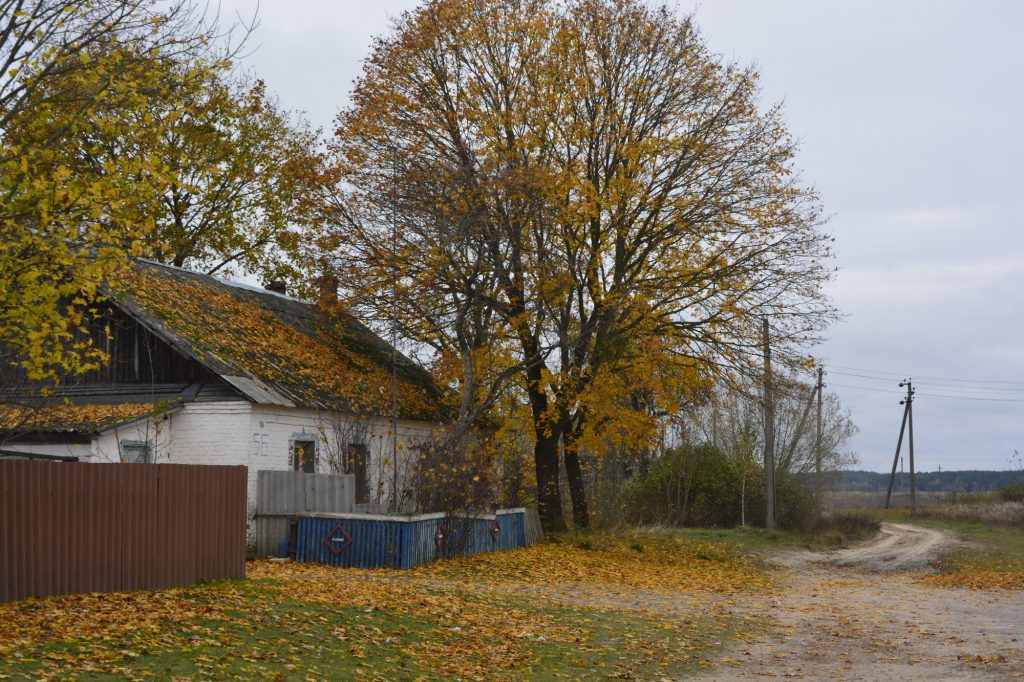 dsc3599-1024x682 Переселенцы Чистых Луж