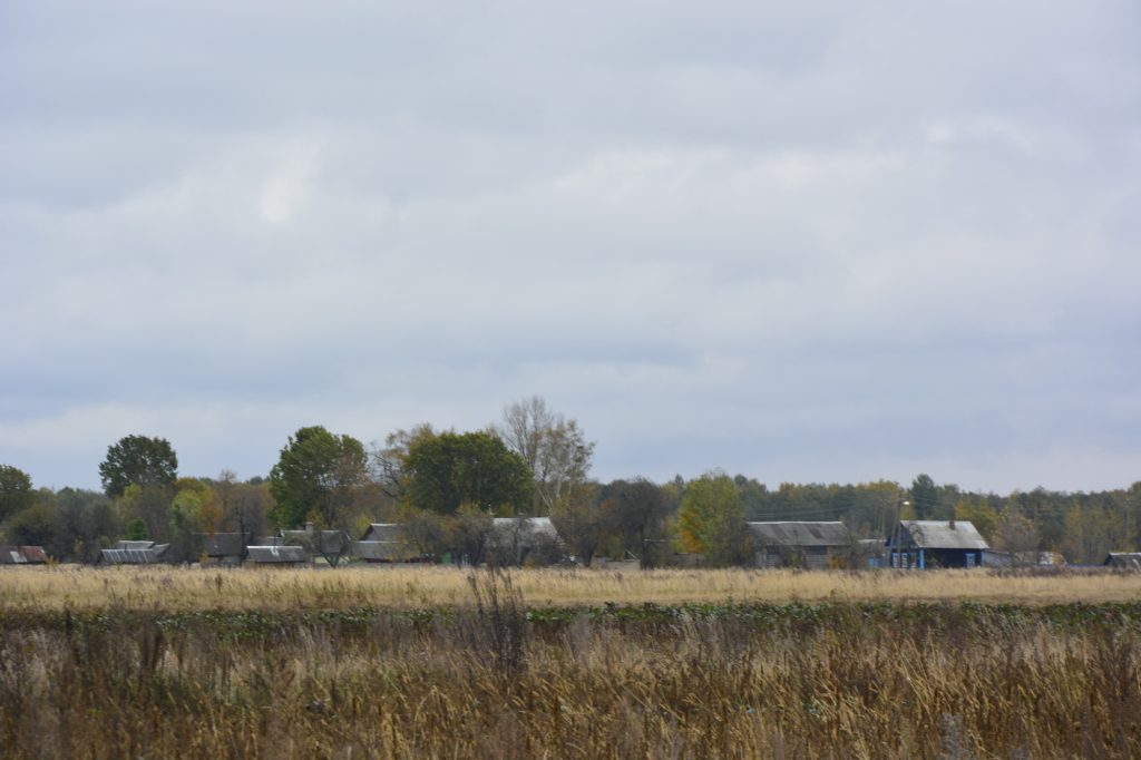 dsc3608-1024x682 Переселенцы Чистых Луж