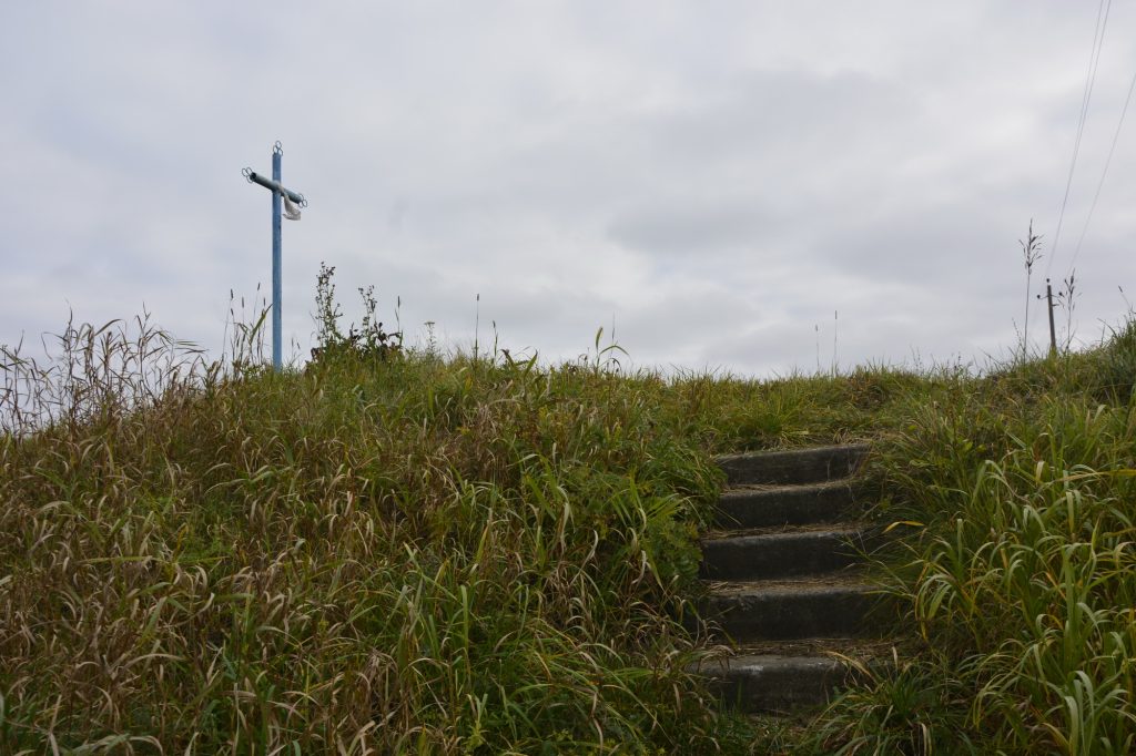 dsc4126-1024x682 Неглюбские источники