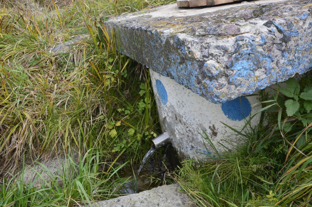 dsc4133-1024x682 Неглюбские источники