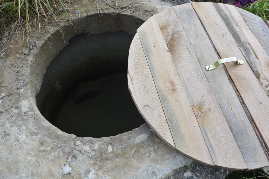 dsc4149-1024x682 Неглюбские источники