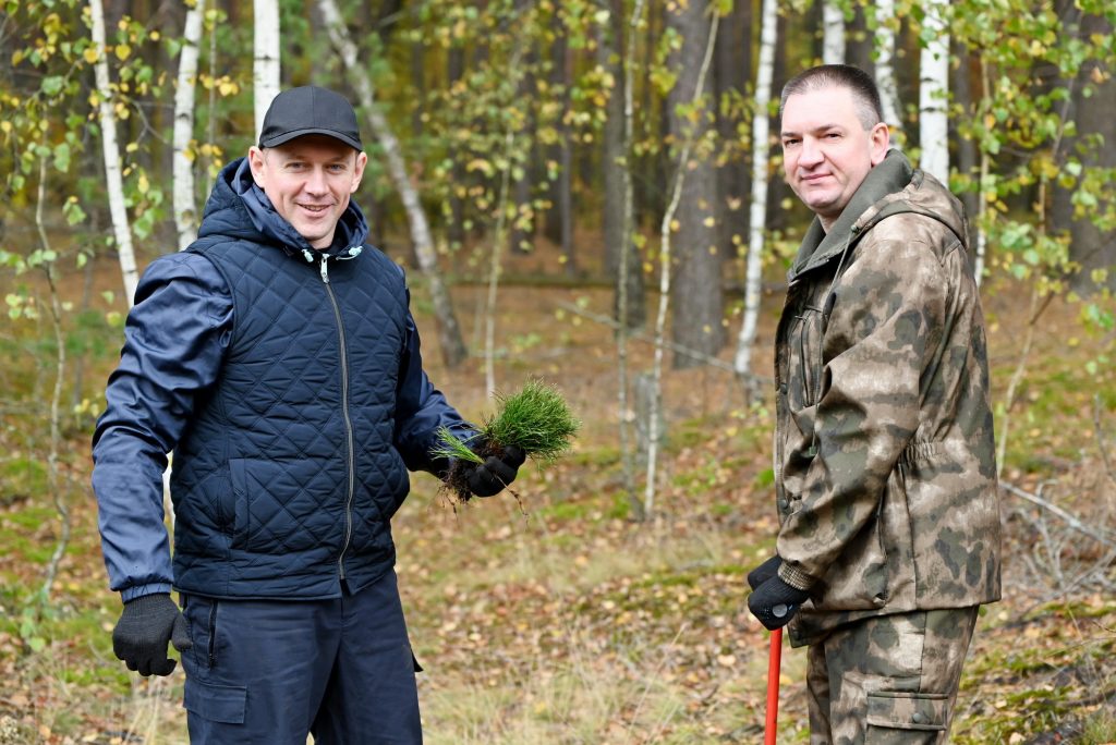 dsc_7510a-1024x684 Чтобы дышала земля: сотрудники управления ГКСЭ по Гомельской области приняли участие в лесовосстановительной акции «Дай лесу новае жыццё»