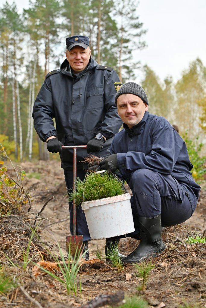 dsc_7515a-1-684x1024 Чтобы дышала земля: сотрудники управления ГКСЭ по Гомельской области приняли участие в лесовосстановительной акции «Дай лесу новае жыццё»