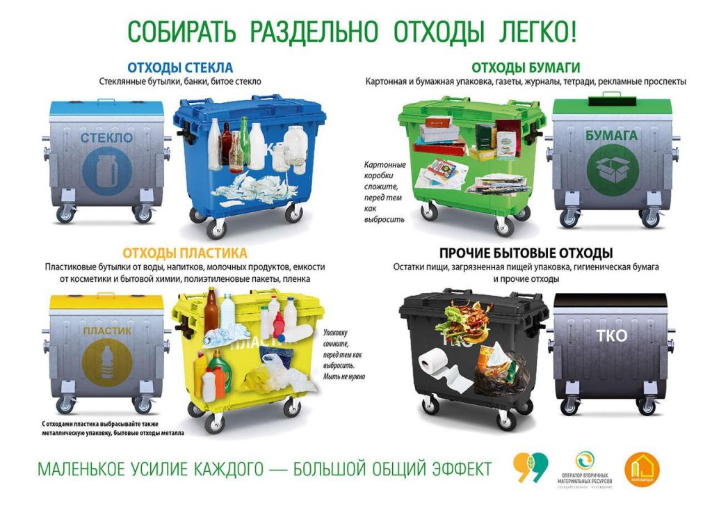 photo_2025-09-30_17-47-31-1024x730 ЗАЧЕМ СОРТИРОВАТЬ МУСОР?