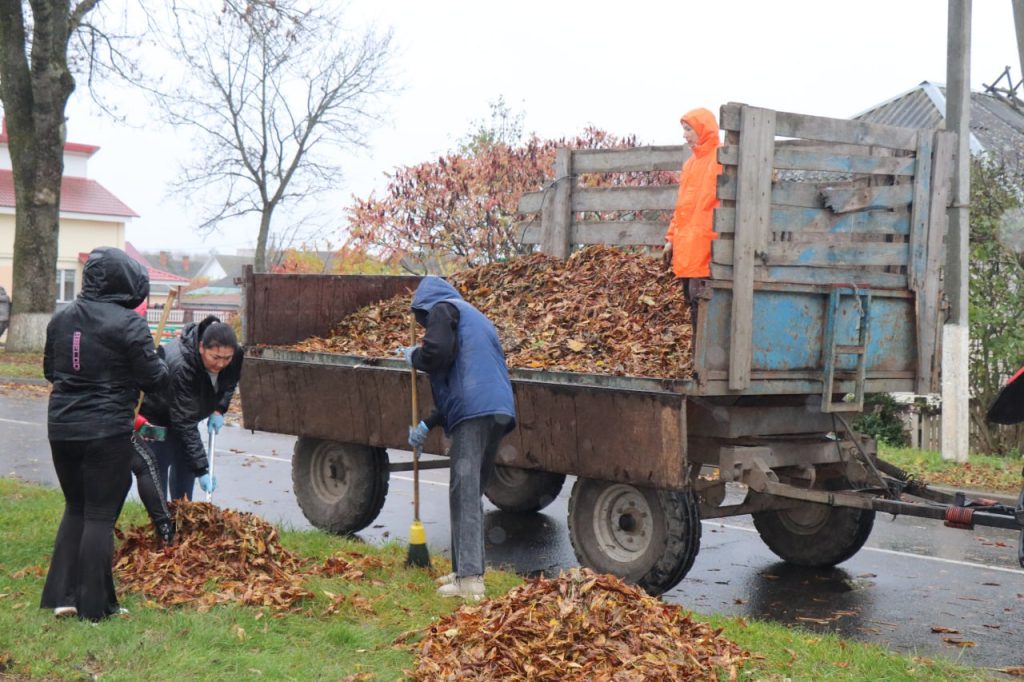 photo_2025-10-25_11-41-07-1024x682 Ветковчане приняли активное участие в республиканском субботнике