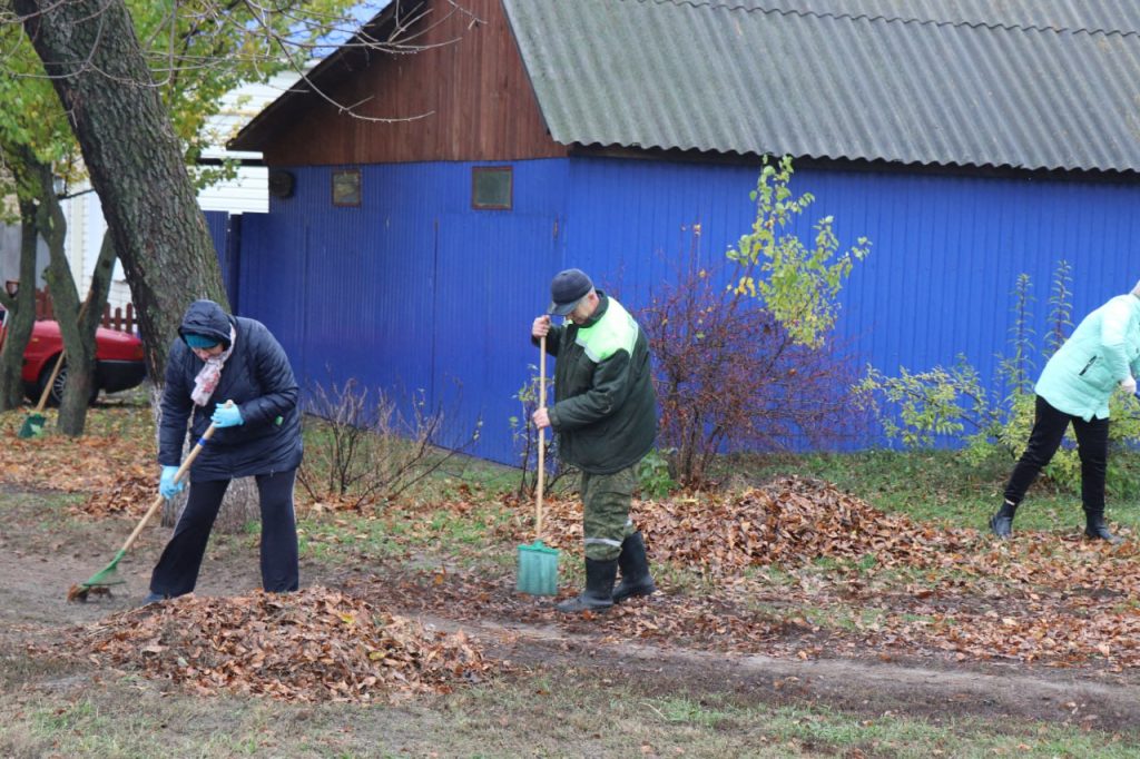photo_2025-10-25_11-50-09-1024x682 Ветковчане приняли активное участие в республиканском субботнике