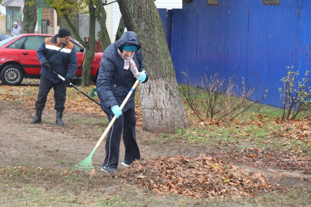 photo_2025-10-25_11-50-09-2-1024x682 Ветковчане приняли активное участие в республиканском субботнике