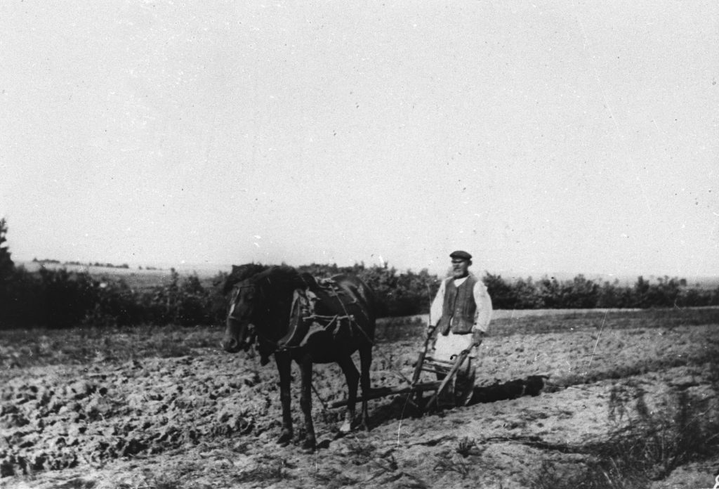 0-19489-1024x696 Тайными тропами Ветковской волости