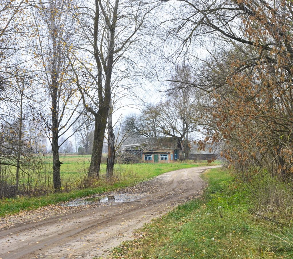 14-1-1024x906 Портрет деревни Антоновка: 300-летняя деревня, которой скоро не станет