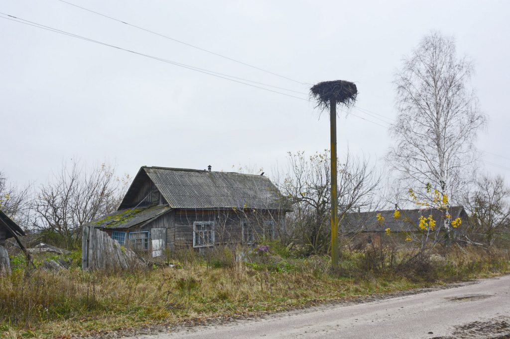 photo_2025-11-19_11-32-47-1024x682 Портрет деревни Антоновка: 300-летняя деревня, которой скоро не станет