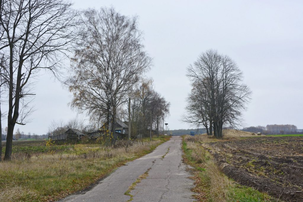 photo_2025-11-19_11-32-53-1024x682 Портрет деревни Антоновка: 300-летняя деревня, которой скоро не станет