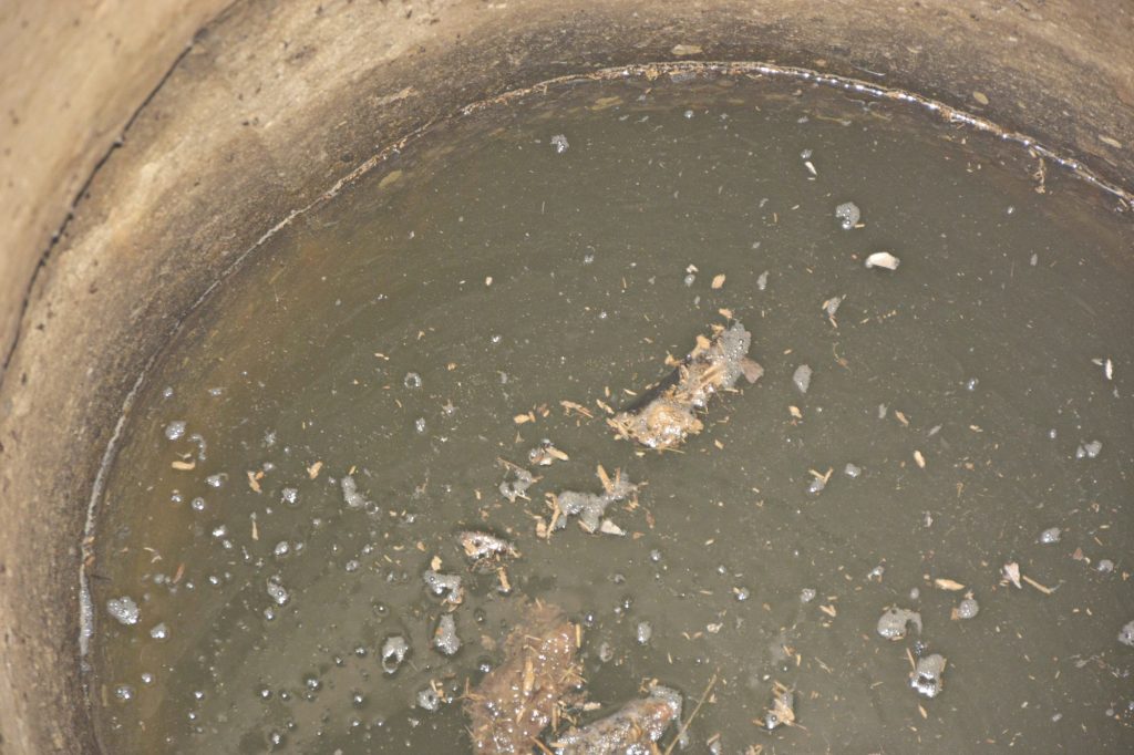 photo_2025-11-19_11-36-46-1024x682 Портрет деревни Антоновка: 300-летняя деревня, которой скоро не станет