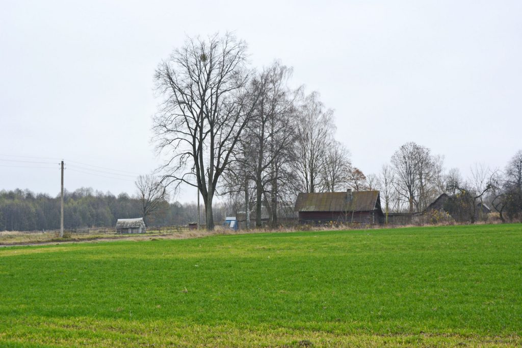 photo_2025-11-19_11-36-48-1024x682 Портрет деревни Антоновка: 300-летняя деревня, которой скоро не станет