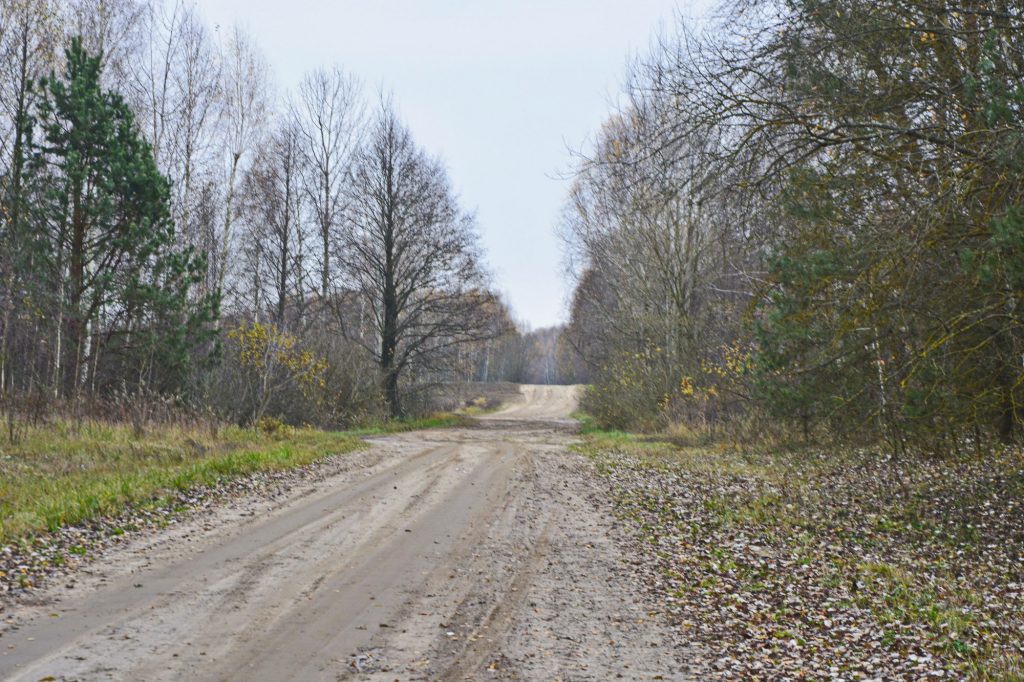 photo_2025-11-24_09-29-48-1024x682 Портрет деревни Антоновка: 300-летняя деревня, которой скоро не станет