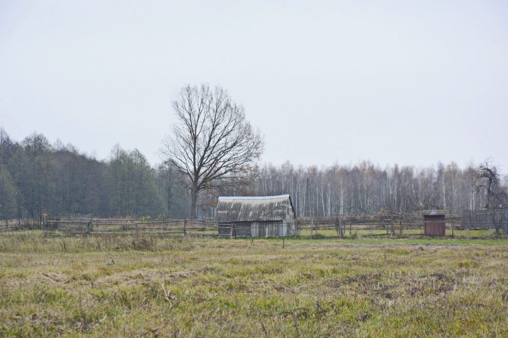 photo_2025-11-24_09-30-37-1024x682 Портрет деревни Антоновка: 300-летняя деревня, которой скоро не станет